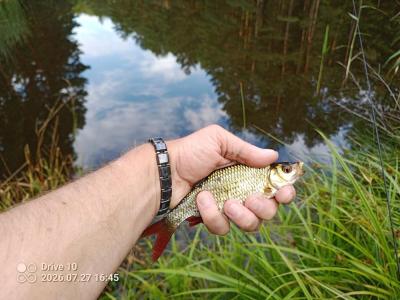 IMG_20260727_164501_933.thumb.jpg.48ae4a2cf904523a6373fc1d3ee6ddd6.jpg
