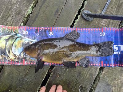 20260810_161412_34cm.jpg