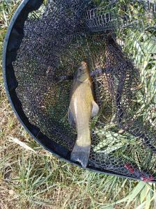 IMG_20260812_143801_068.jpg