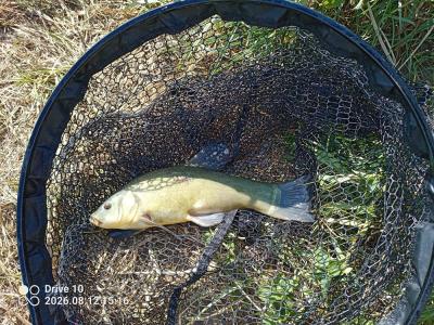 IMG_20260812_151619_135.jpg