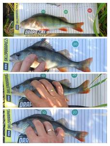 IMG_20260813_220114.jpg