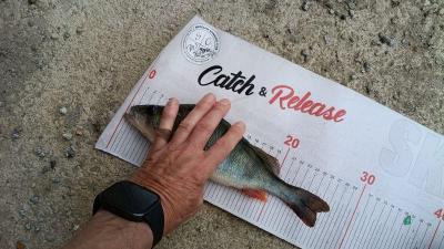 IMG_20260820_172325745.thumb.jpg.69b346bfb1e30c4070434f9163f0d768.jpg