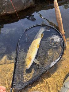 IMG_6348.jpeg