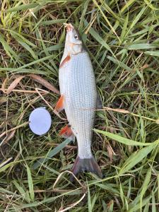 IMG_6375.jpeg