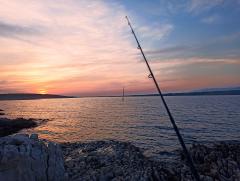 IMG_20260811_200147.jpg