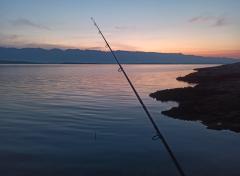 IMG_20260817_053625~2.jpg