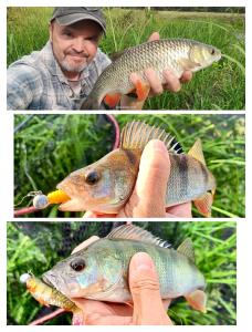 IMG_20260902_192911.thumb.jpg.5760beecf67dee26a2d35d258d0f52ee.jpg