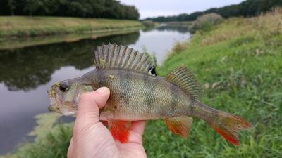 IMG_20260913_171735248.thumb.jpg.ec197a42b3d91a05766a8a8021fc26f8.jpg