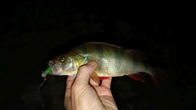 IMG_20260913_203228504.thumb.jpg.e2b105a622d5757a40bb8c1f055ffdec.jpg