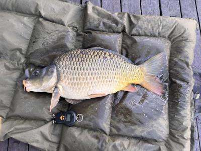IMG_6424.jpeg